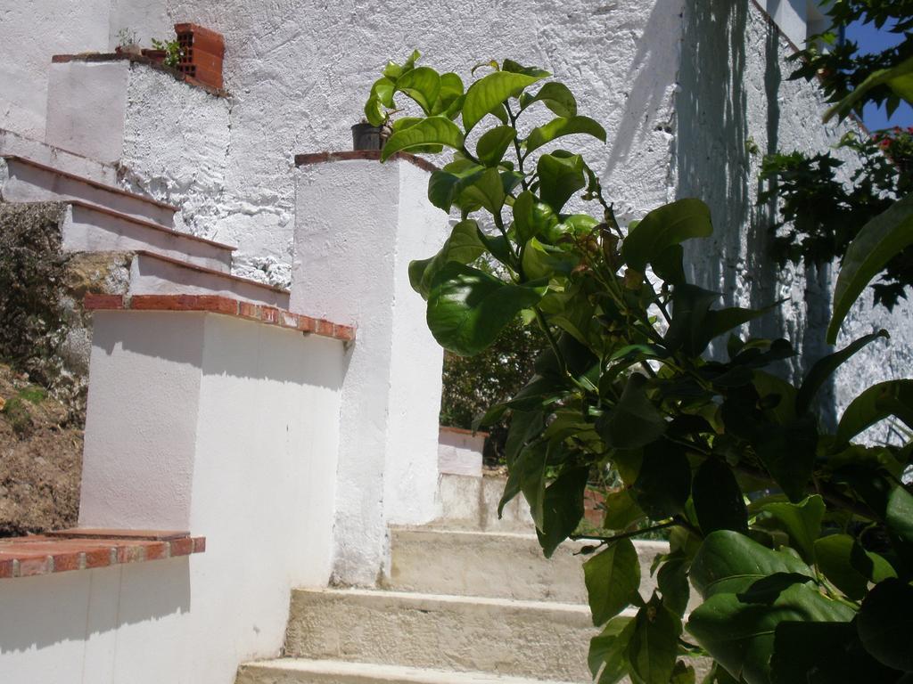 Apartamentos Rurales El Canuelo De Carcabuey 客房 照片